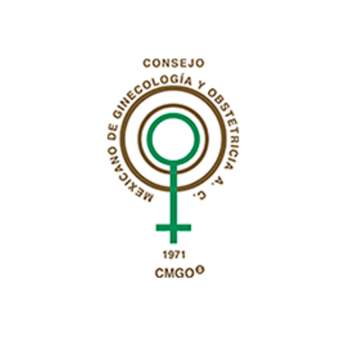 logo 4 (500 × 500 px)