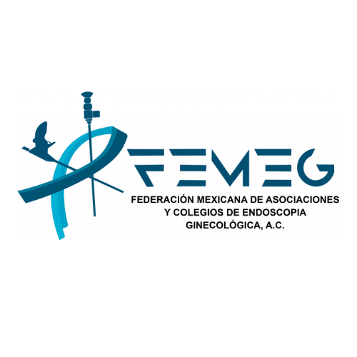logo1 (500 × 500 px)